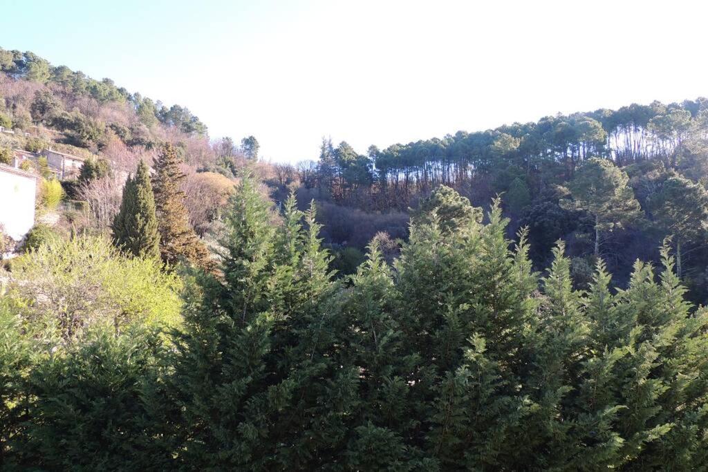 Les Chataigniers Appartement Meuble Saint Sebastien d'Aigrefeuille المظهر الخارجي الصورة